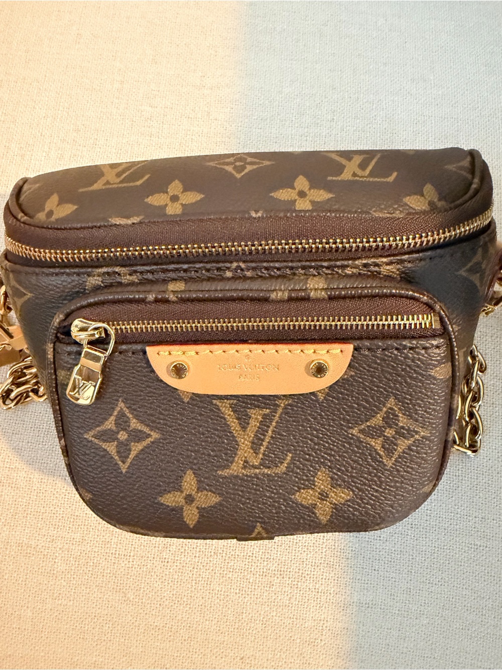 Louis Vuitton Monogram Mini Bag - Brown & Tan - Picture 3 of 13